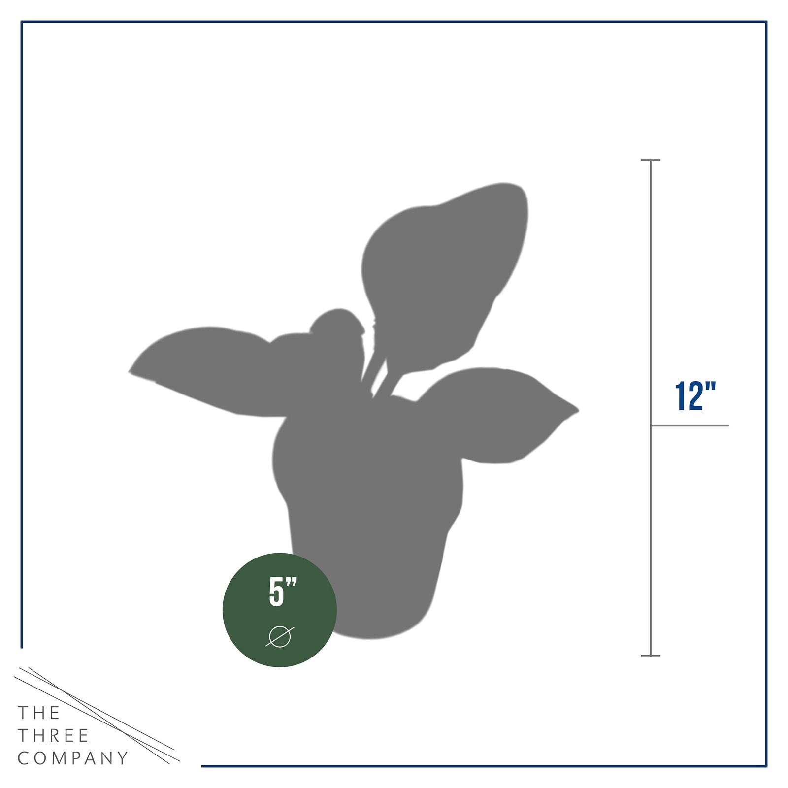 Live Perennial Hosta – Assorted Varieties (3 Plants Per Pack) Beautiful Accen…