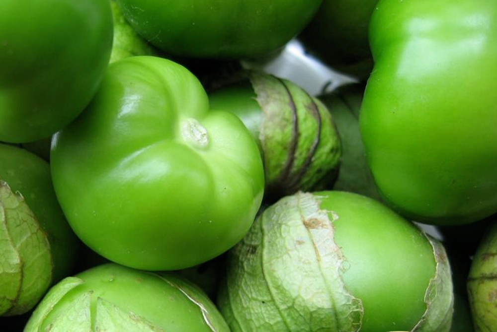 50+ Tomatillo Seeds | Green Tomato Seeds