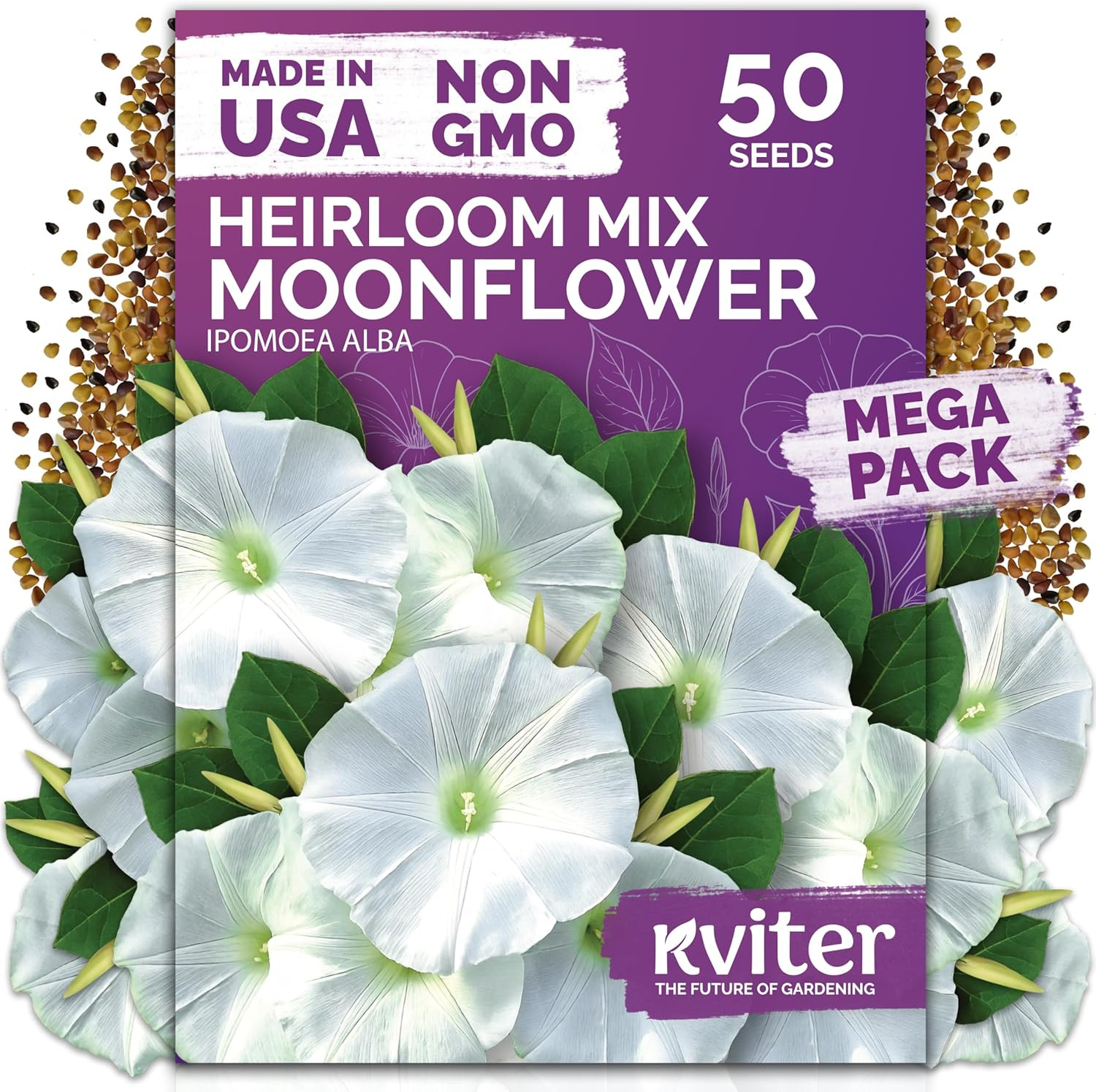 20,000 Creeping Thyme Seeds (Thymus Serpyllum) – Wild Thyme, Aromatic Ground Cov