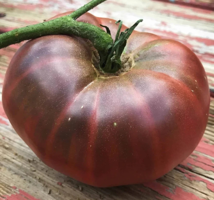 BLACK BRANDYWINE TOMATO SEEDS 100+ indeterminate BEEFSTEAK VARIETY vegetables