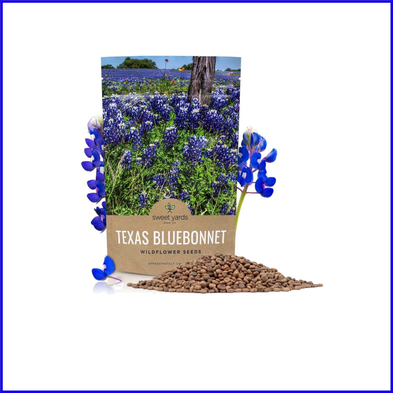 Grow Stunning Bluebonnets! Bulk 1/4 Pound of 4,000 Seeds for Colorful Landscapes