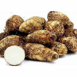 Fresh Taro Root 1.5 Lbs White Or Purple