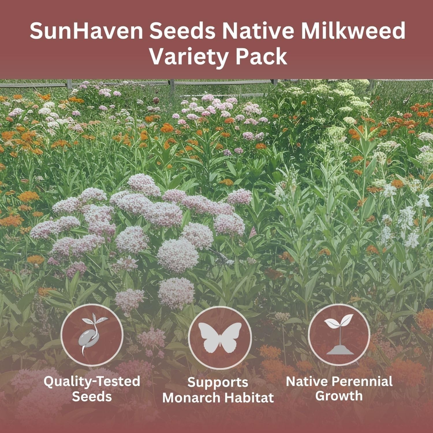 Native Milkweed Variety Pack – 5 Essential Species for Monarch Butterfly Gardens