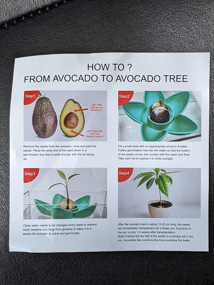 Avocado Tree Growing Kit with seed pod base and germination bowl Green OLIZE