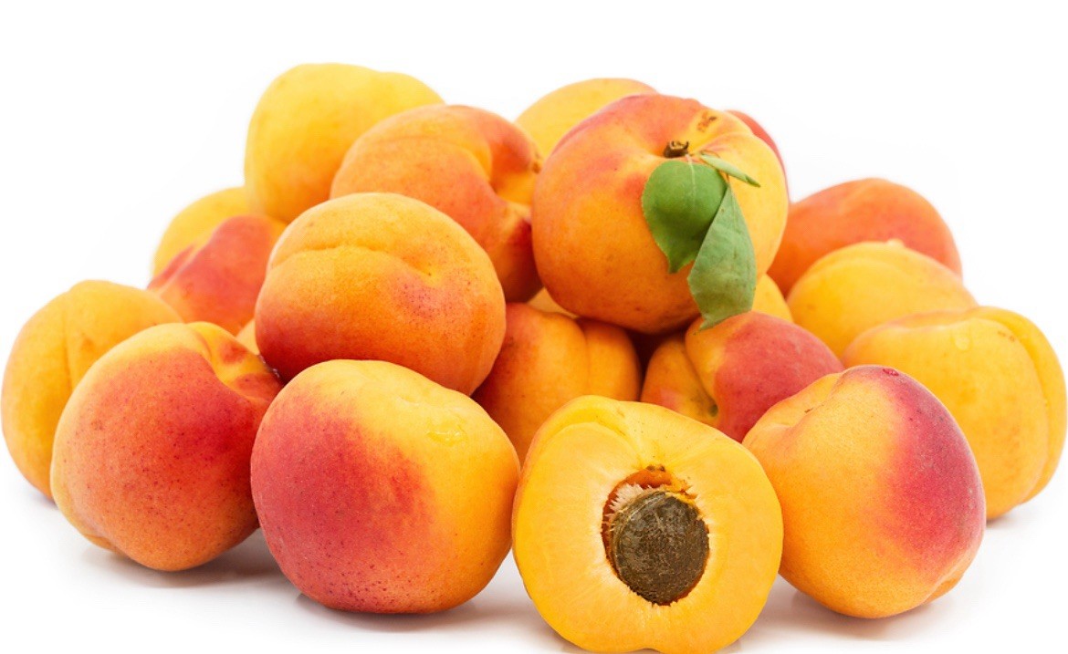 Sweet Apricot, Prunus Armeniaca – 5 Seeds 2025 for planting – USA