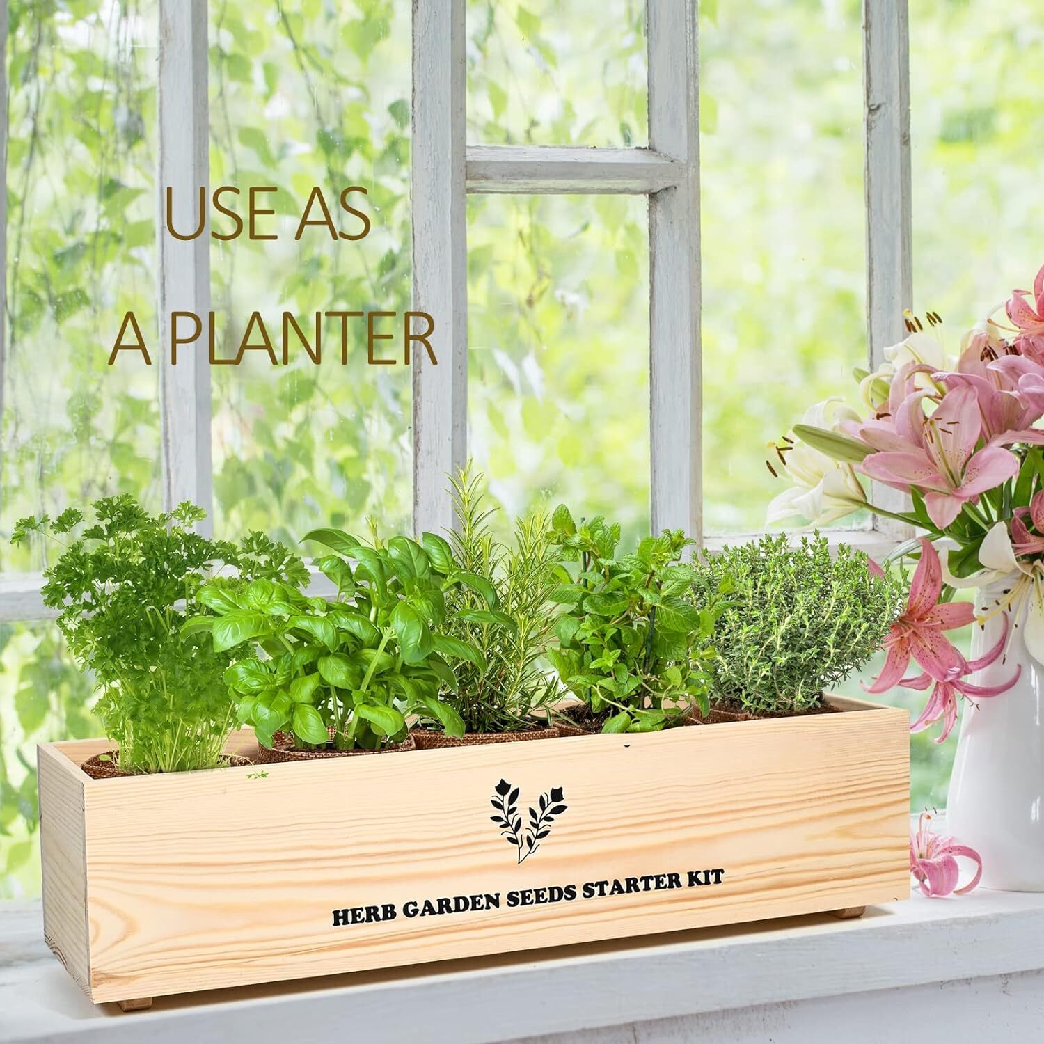 Indoor Herb Grow Kit 5 Seeds Garden Starter Kit