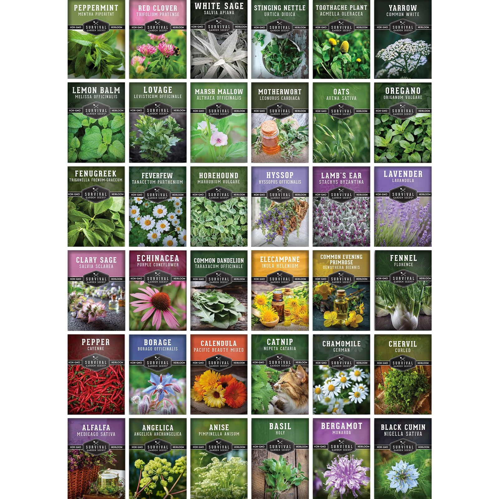 Medicinal Herb Seeds Variety Pack – 36 Non-GMO Culinary & Healing Plants