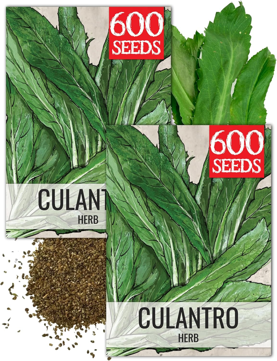 Culantro Seeds for Planting Mexican Coriander -2 Pack