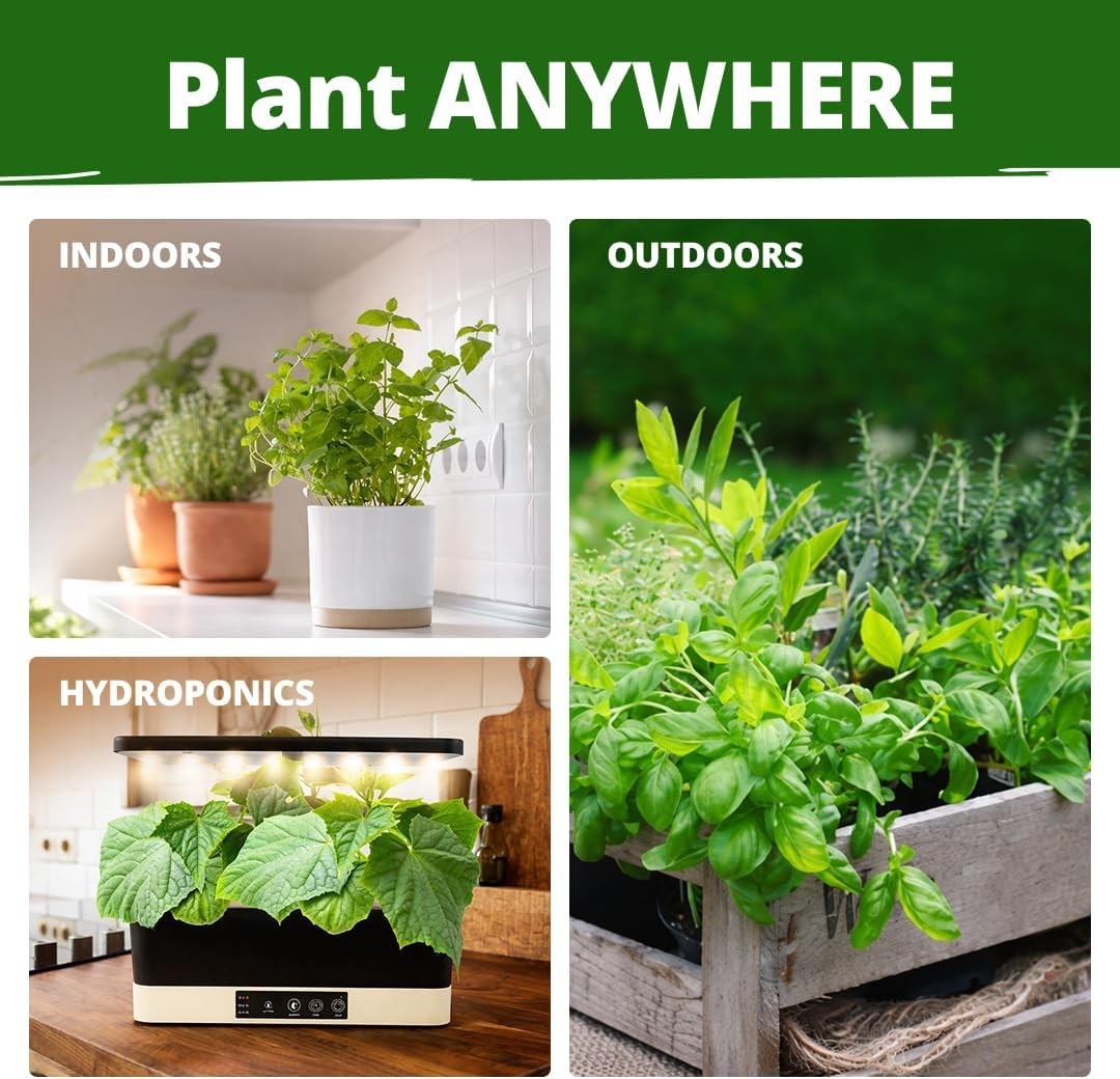 HOME GROWN Herb Seeds for Planting 15-Pack Massive Seed Count 4,300+ Seeds Non-G