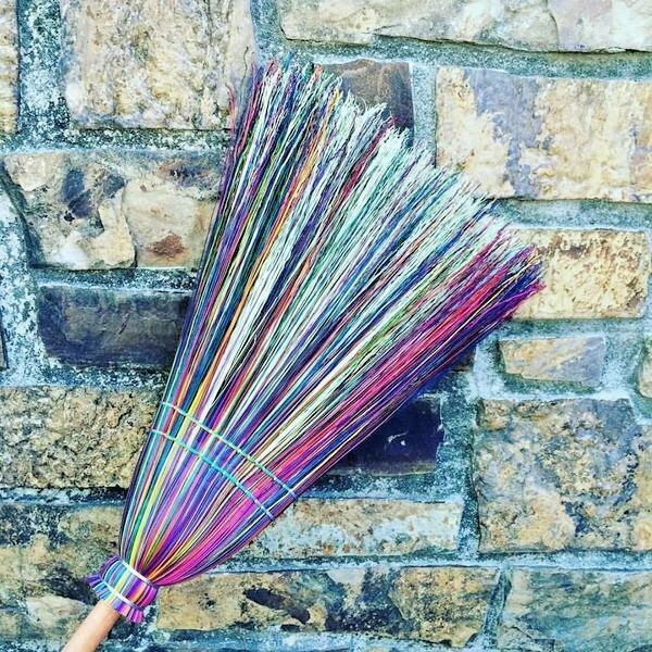 100+BROOM CORN Seeds Heirloom Sorghum Vegetable Grain Multi Color Crafts Easy