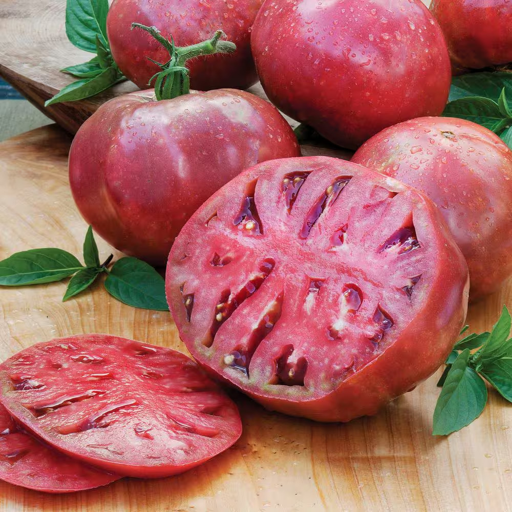 19 Oz. Cherokee Purple Heirloom Tomato Plant (2-Pack)