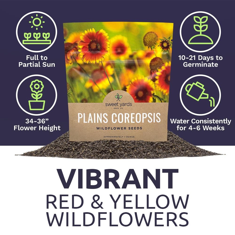 Plains Coreopsis Seeds – Native Flowers – Extra Large Packet – Over 100,000 O…