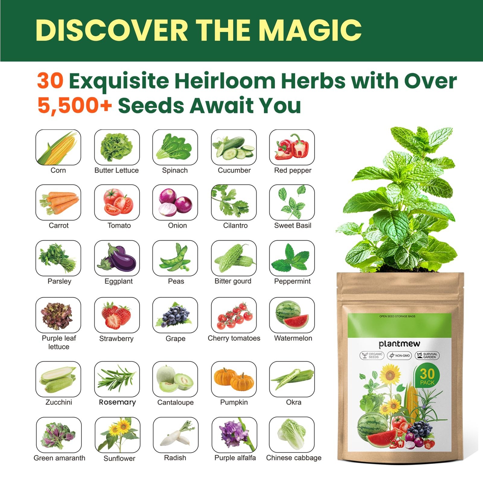 【Seed Vault】 Heirloom Vegetable Seeds Planting Kit – 15,000+ primary color