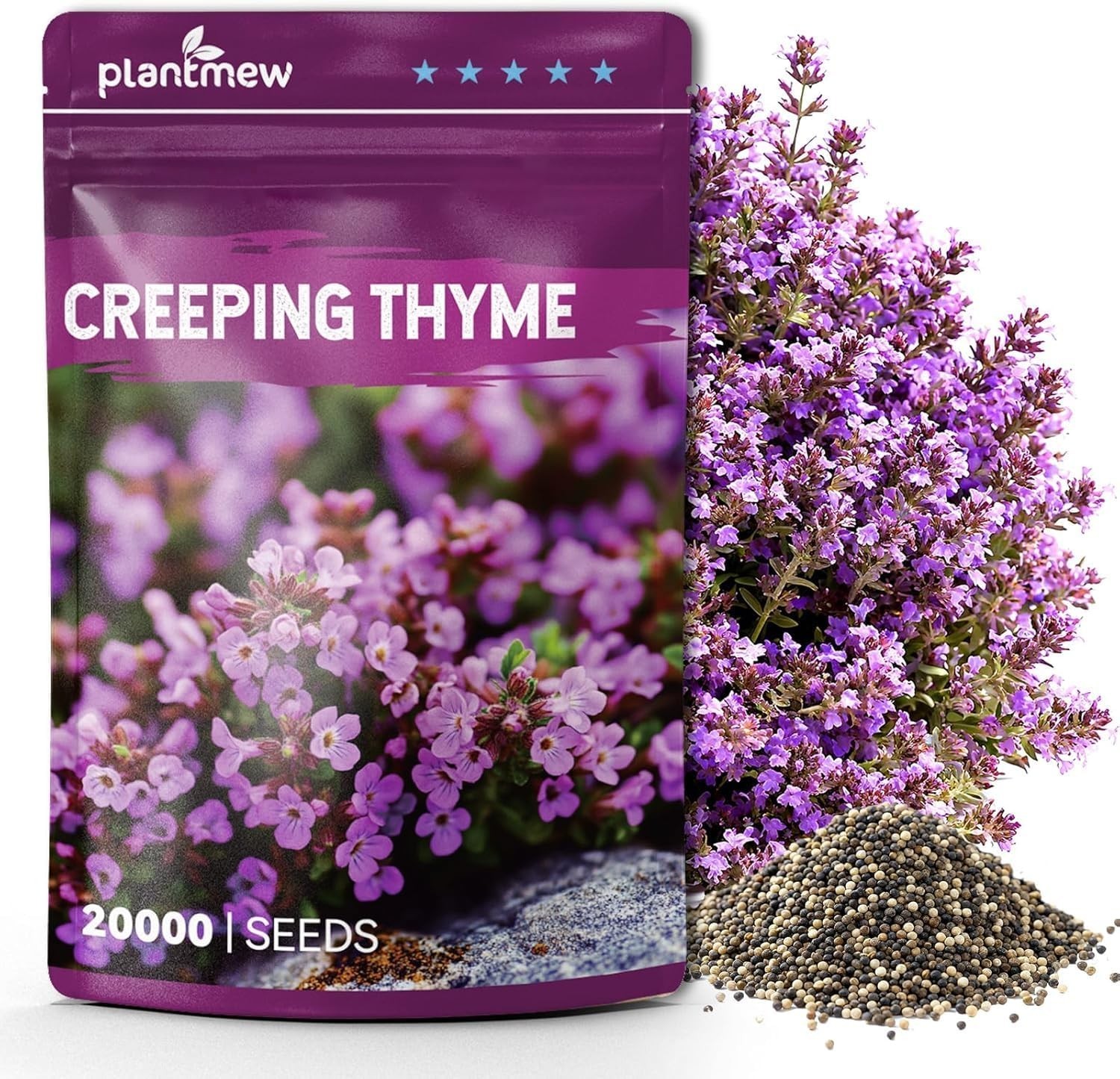 20000+ Heirloom Creeping Thyme Seeds – Fragrant Ground Cover for Gardens