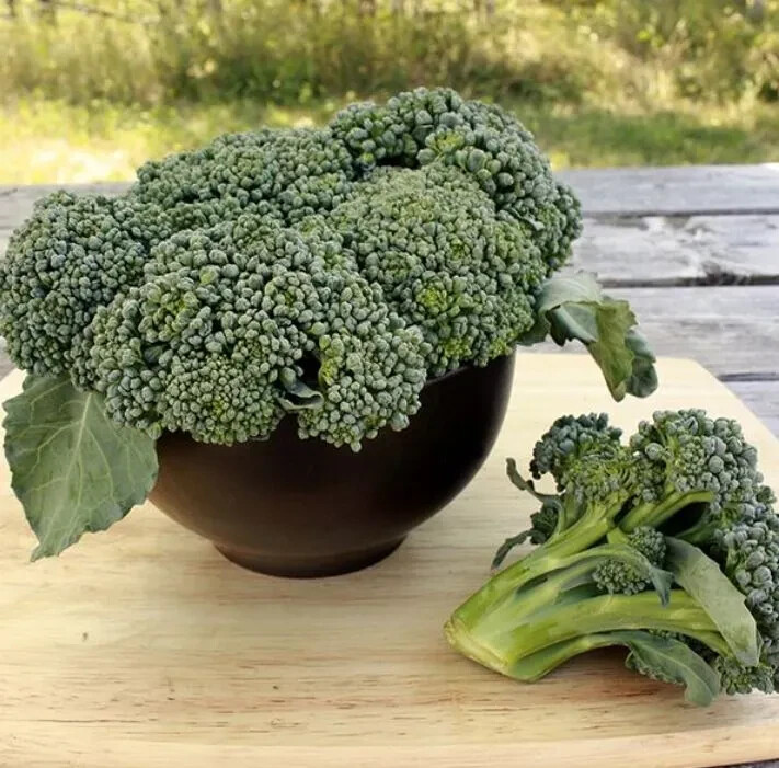 500 WALTHAM 29 BROCCOLI SEEDS ~ 2026 ~ heirloomseedguy ~ USA