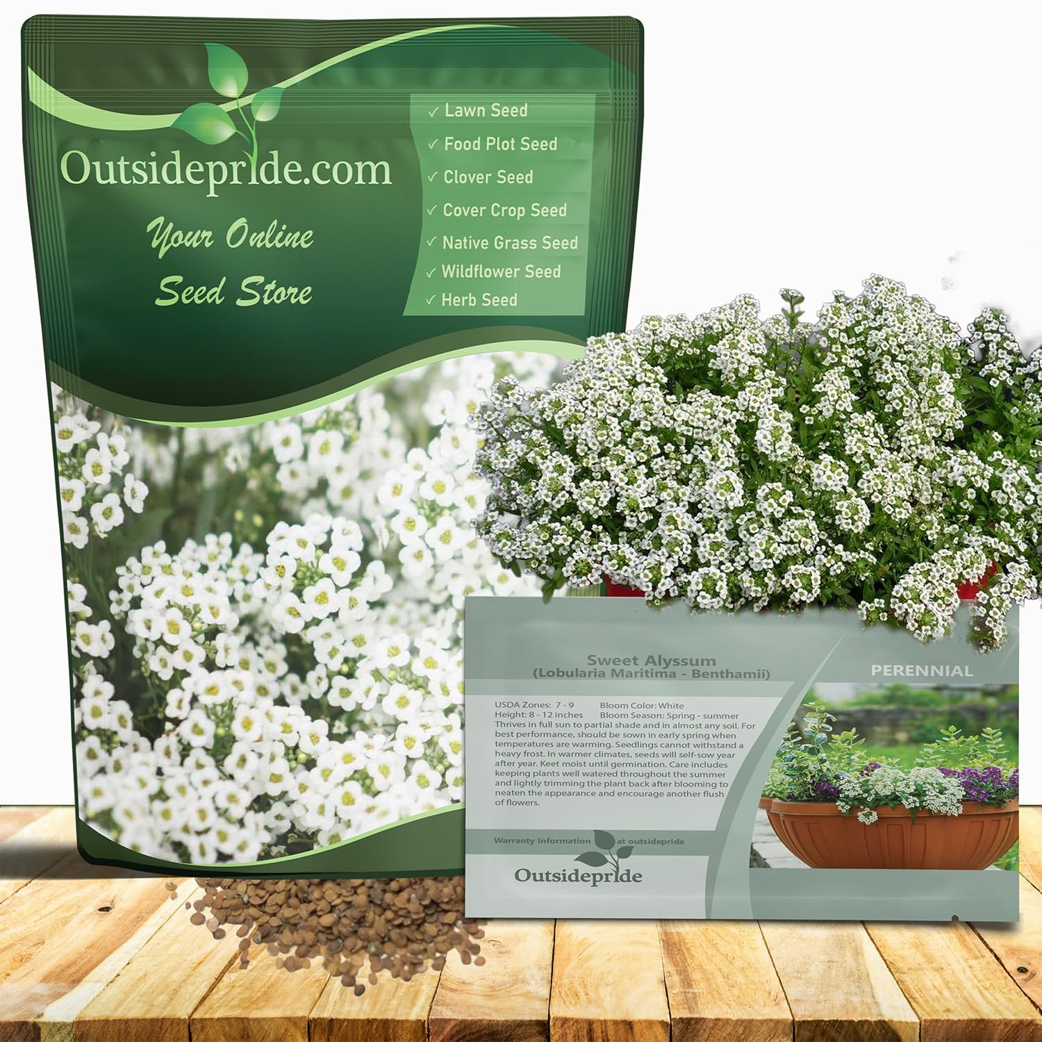 Perennial Sweet Alyssum Seeds – 5,000 Pieces White Lobularia Maritima Seeds f…