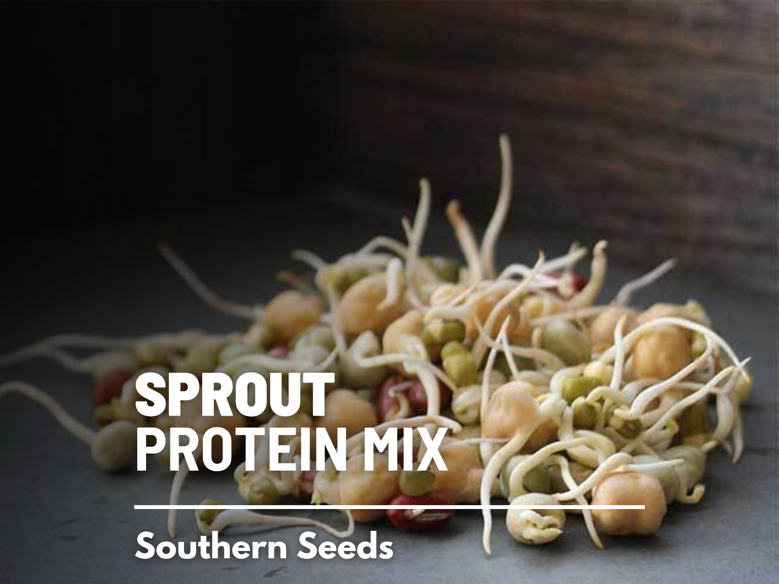 Sprout, Protein Mix – 250 Seeds – Amazing for Athletes and Dieters