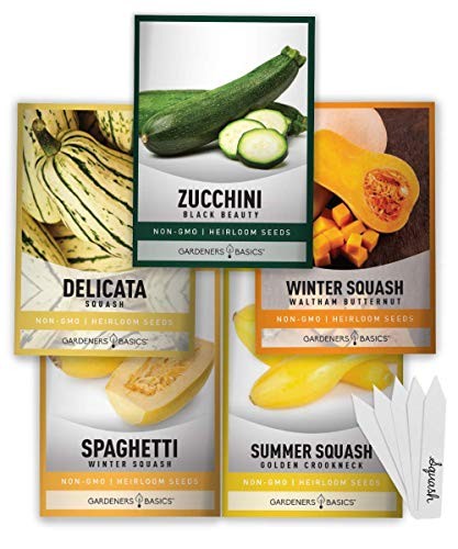 , Squash Seeds for Planting 5 Individual Packets – Zucchini, Delicata,