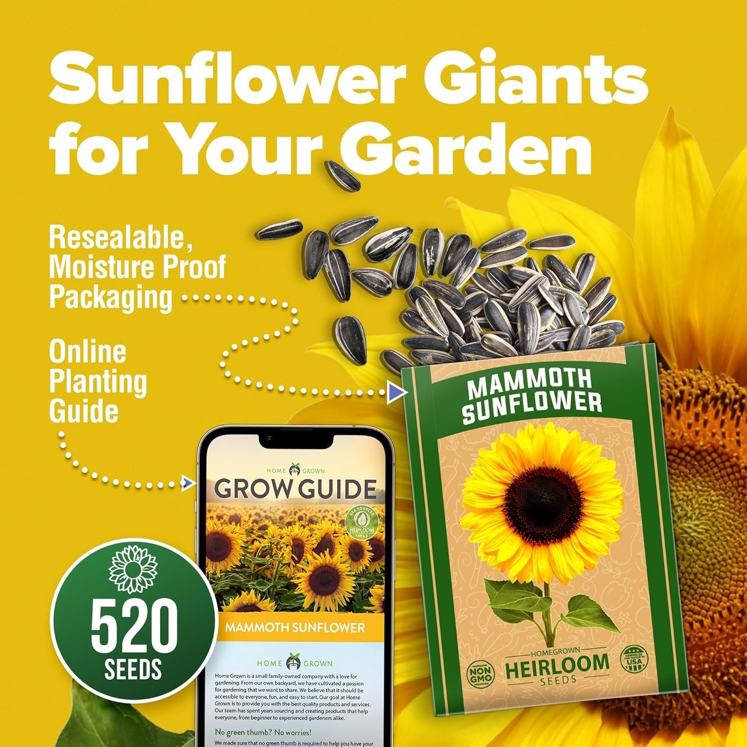 Giant Mammoth Sunflower Seeds – 520+ Heirloom Non-GMO Bulk Pack for Stunning …