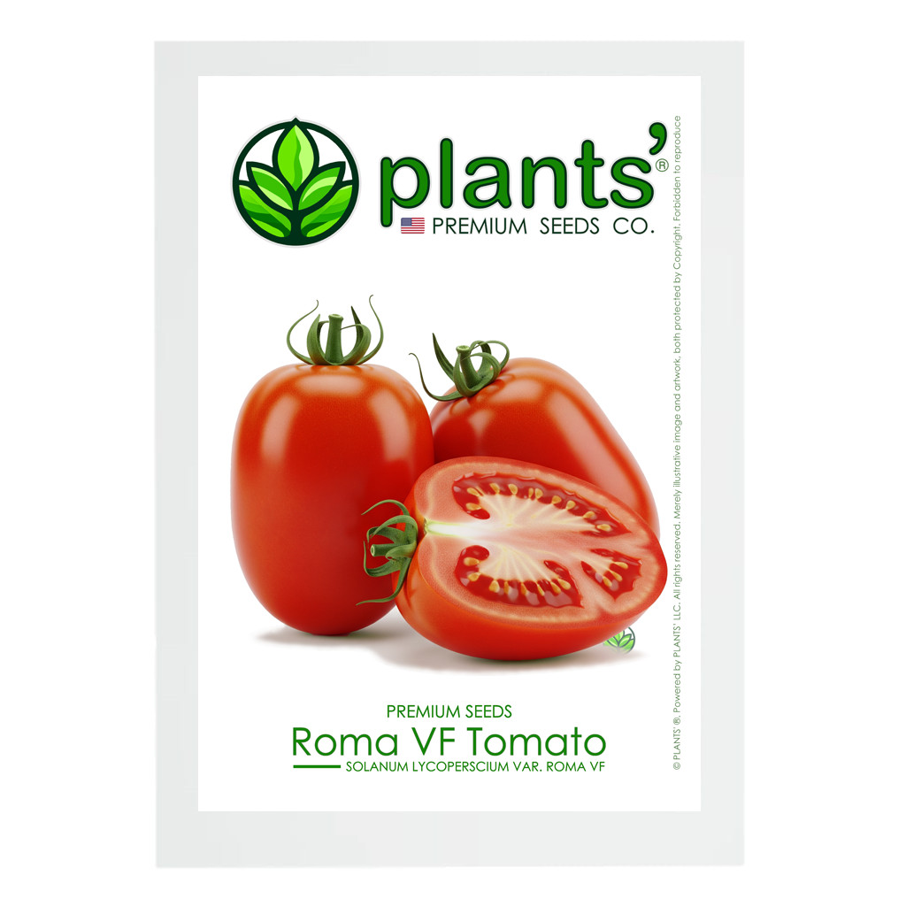 Roma VF Tomato | Premium Seeds | Solanum lycopersicum ‘Fruit’ | Plants’®