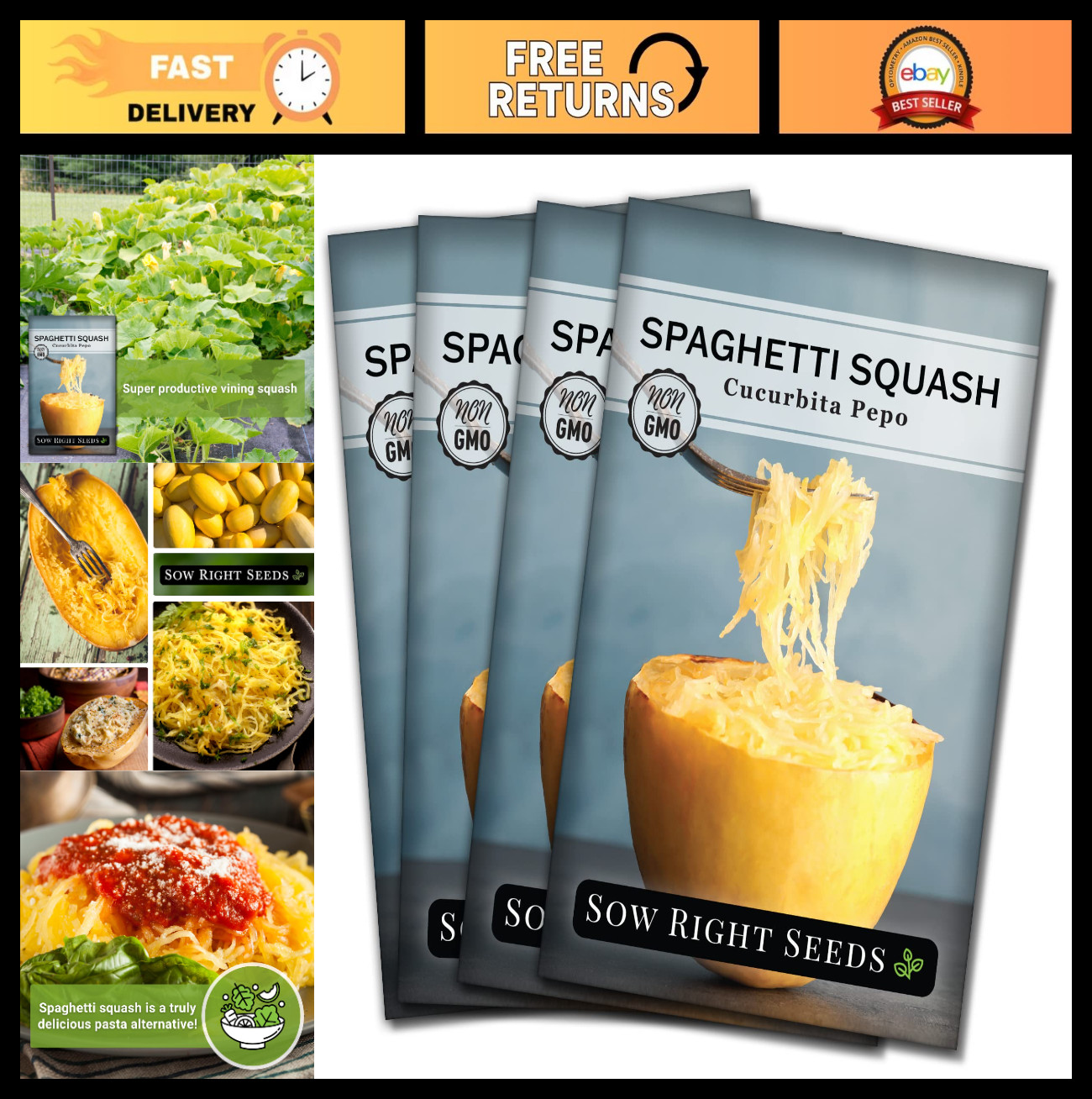 Non-GMO Heirloom Spaghetti Squash Seeds for Planting – Grow Your Own Garden (4)