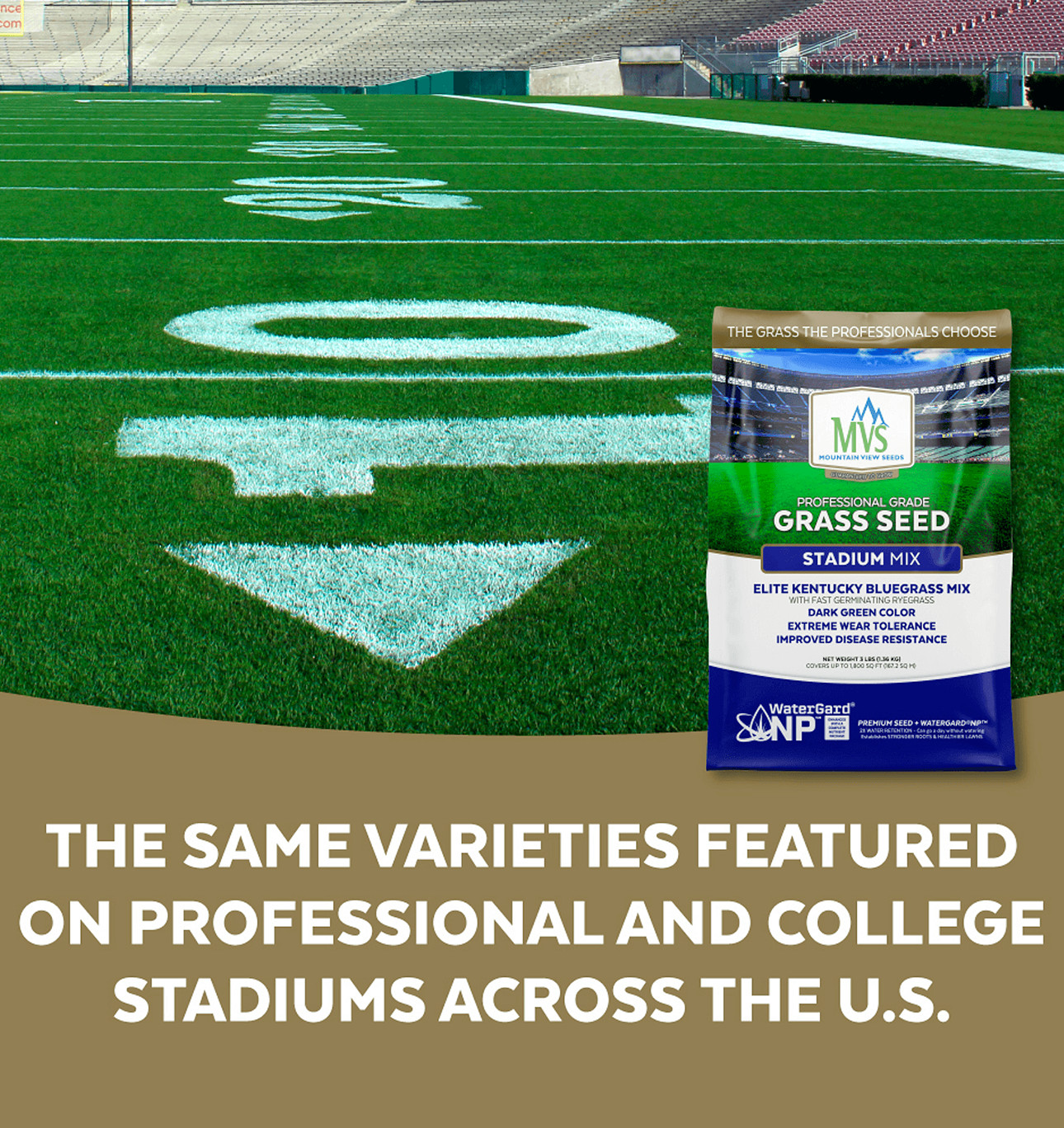 The Andersons Stadium Mix Kentucky Bluegrass Premium Grass Seed