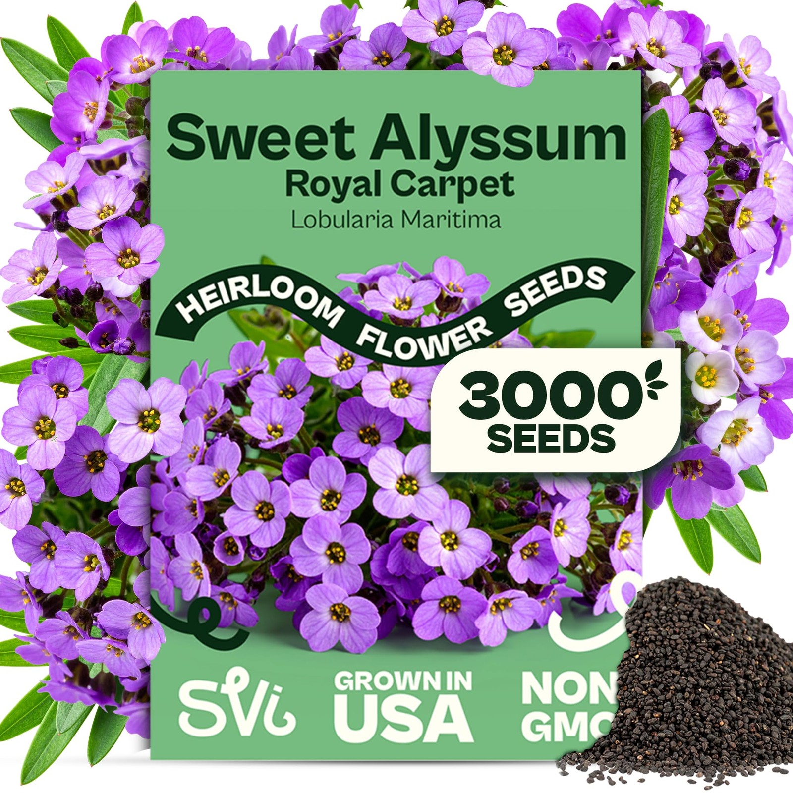 3000 Royal Carpet Sweet Alyssum Seeds (Lobularia maritima) – Sweet Alyssum Fl…