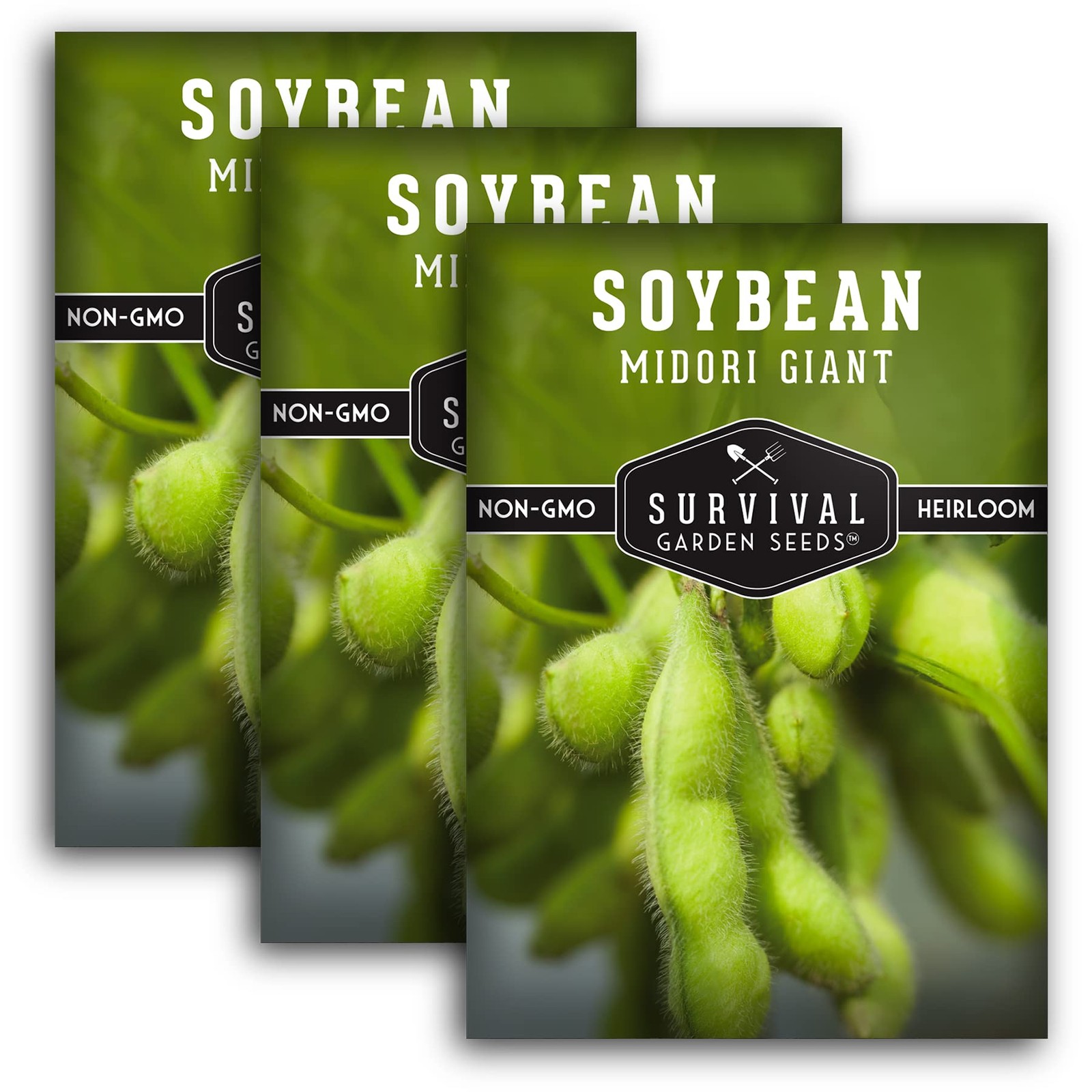 “Soybean Seeds for Planting Grow ProteinPacked Edamame in Your Garden”