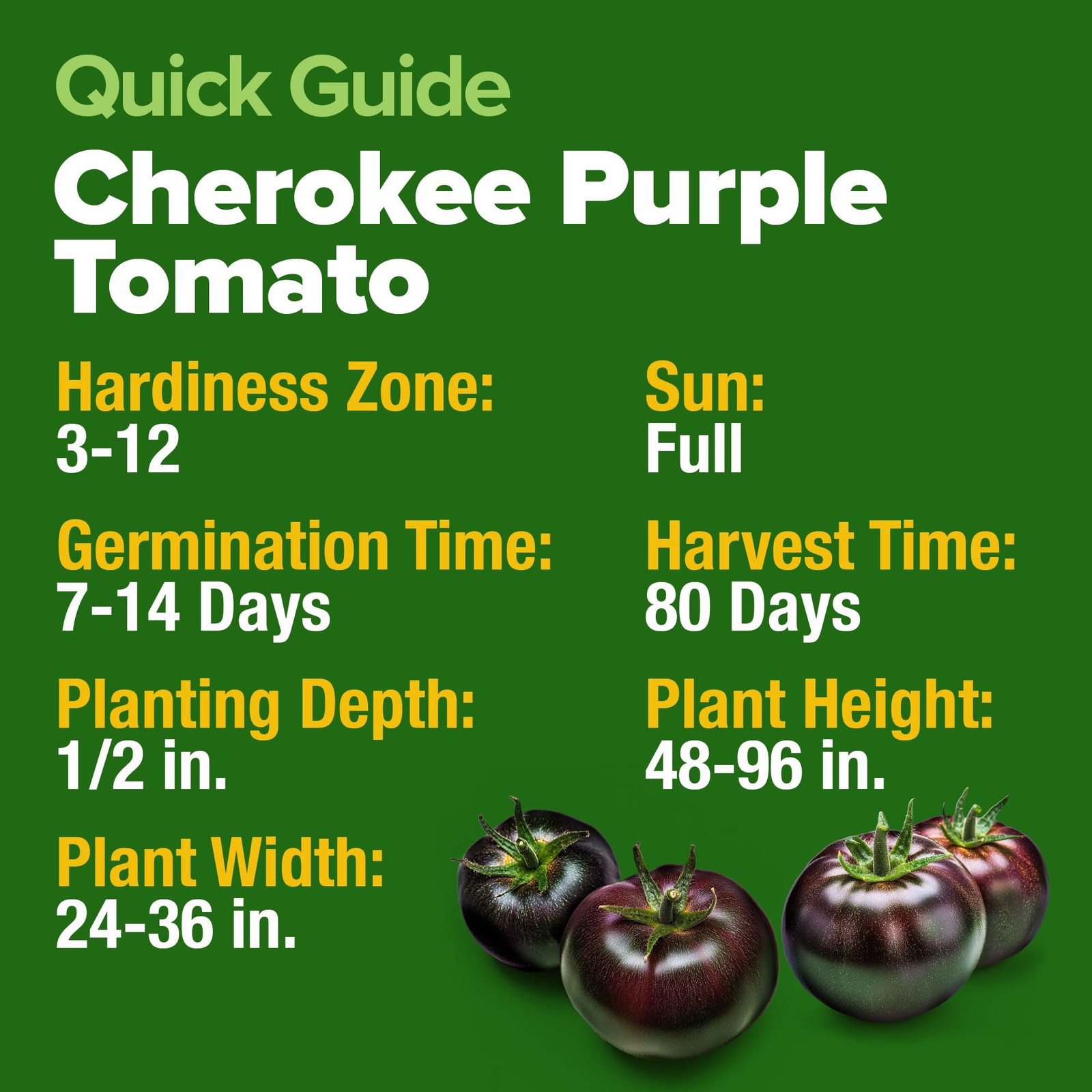 Cherokee Purple Tomato Seeds 106+ Heirloom Non GMO Seeds for Planting, High G…