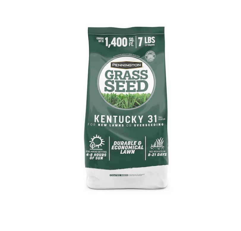 SALE-Pennington Kentucky 31 Tall Fescue Grass Seed 7 lb Covers Up to 1400 Sq Ft