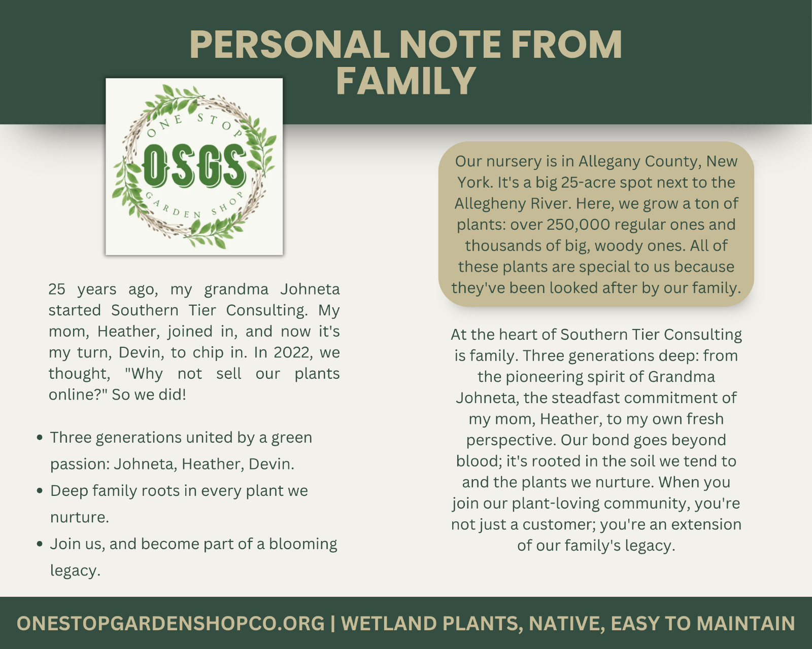Plantago lanceolata | Narrowleaf Plantain | Bareroot