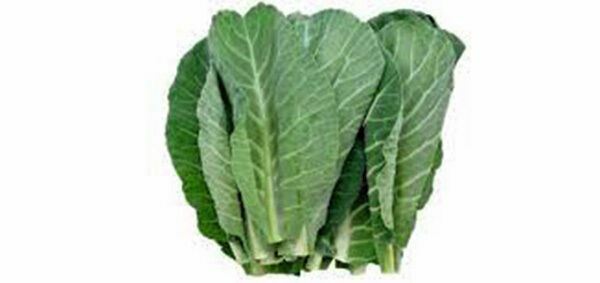 COLLARD GREENS SEED, GEORGIA SOUTHERN, HEIRLOOM, NON GMO, 100+ SEEDS
