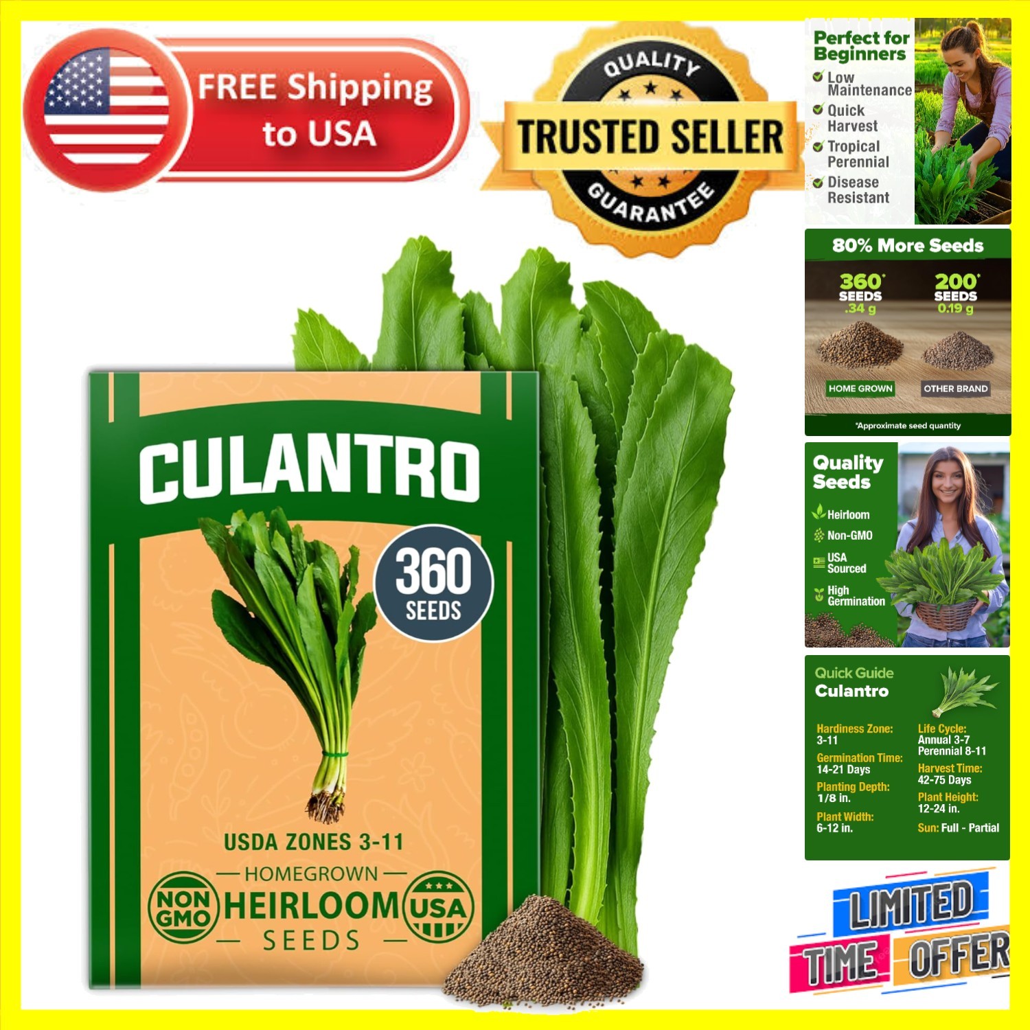 Culantro Seeds – 360 Non-GMO Seeds for Thriving Indoor/Outdoor Gardens
