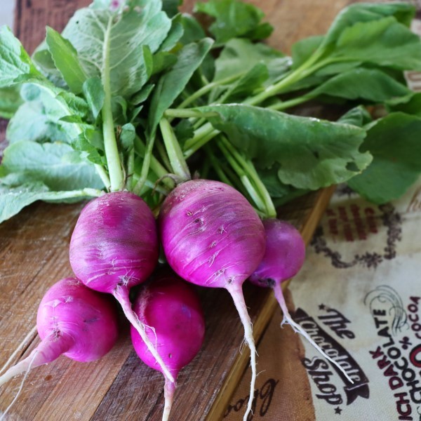 Purple Plum Radish Seeds, NON-GMO, Cruciferous, Variety Sizes, FREE SHIPPING