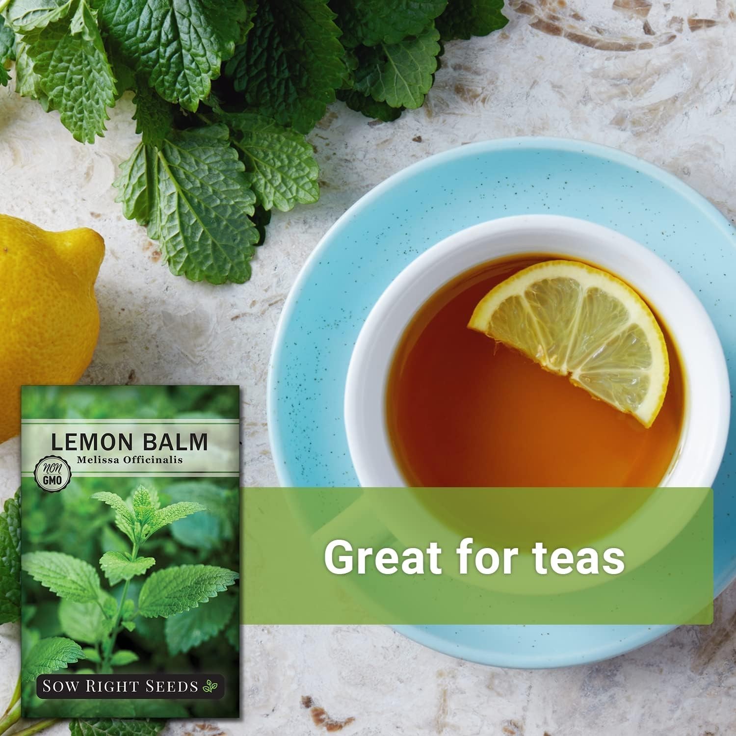 Non-GMO Lemon Balm Seeds – Heirloom for Easy Indoor/Outdoor Gardening