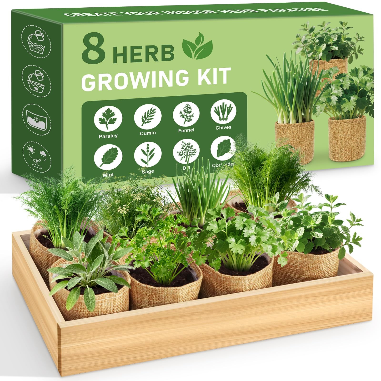 8 Herb Indoor Garden Kit for Beginners, Complete Windowsill Growing Gifts Set…