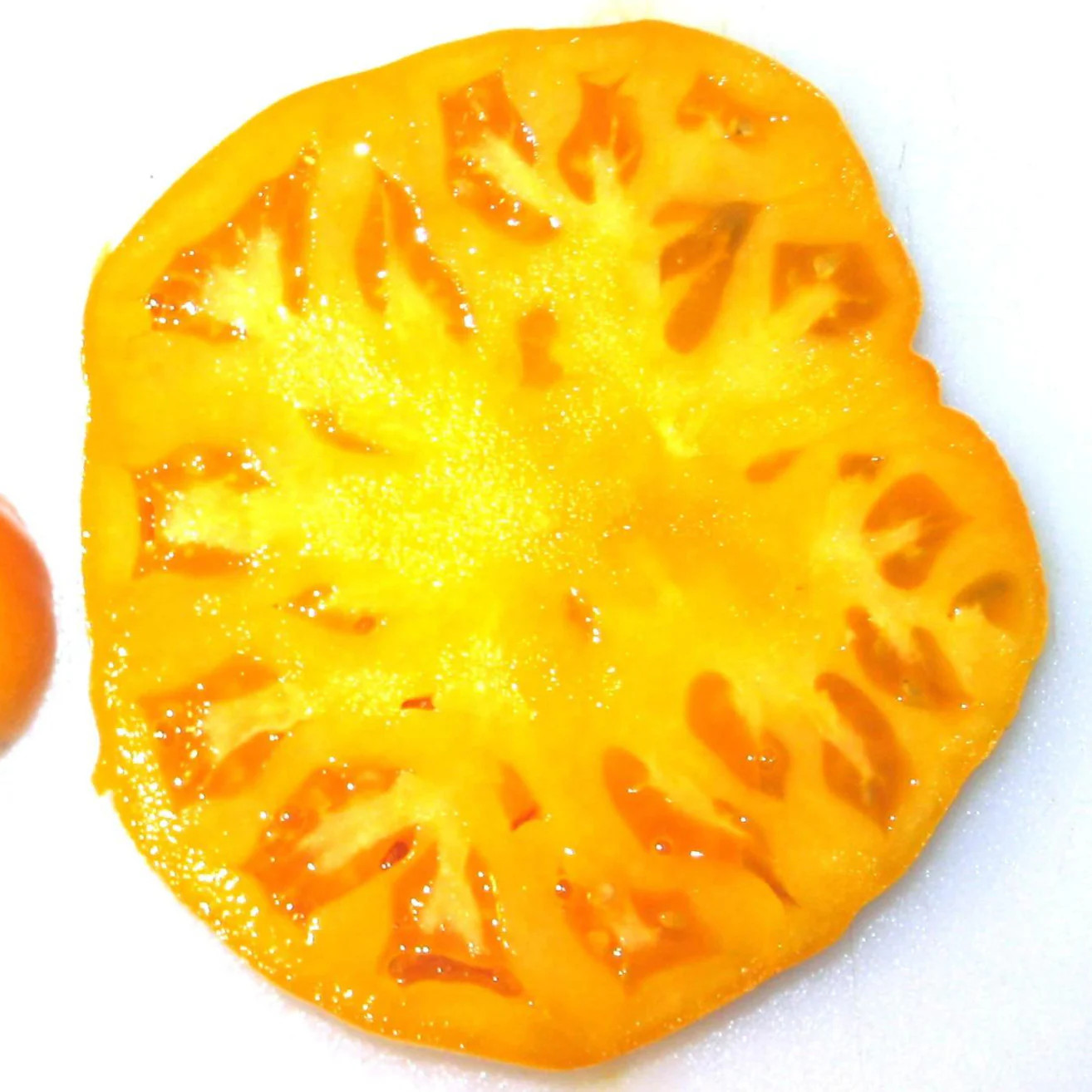 Yellow Brandywine Tomato Seeds | Golden Beefsteak Tomatoes Vegetable Seed 2024
