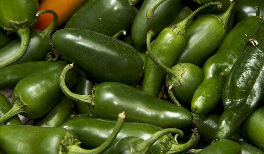 #11 Heirloom Vegetable Seeds 6 Variety Garden Set Emergency Survival NON-GMO WOW