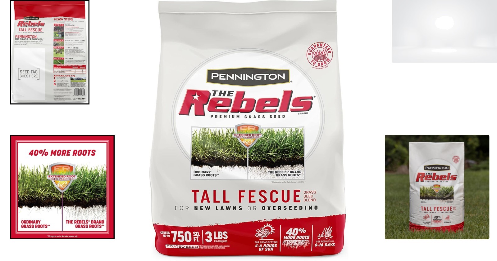 Tall Fescue Lawn Seed Mix 3 lb Heat Shade Tolerant Deep Roots Fast Growth Spring