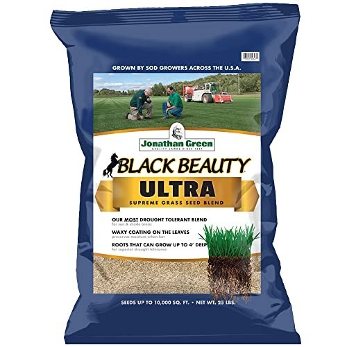 Premium Black Beauty Ultra Grass Seed – Cool Season Lawn Seed 25 lb for Lush Law