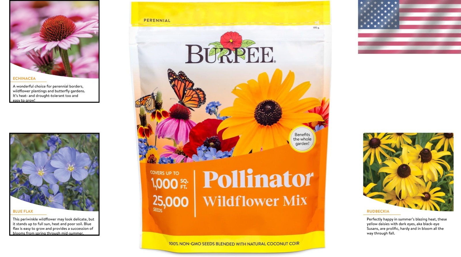 Pollinator Mix: 25,000 Seeds of Wildflowers for Spring to Fall Blooms
