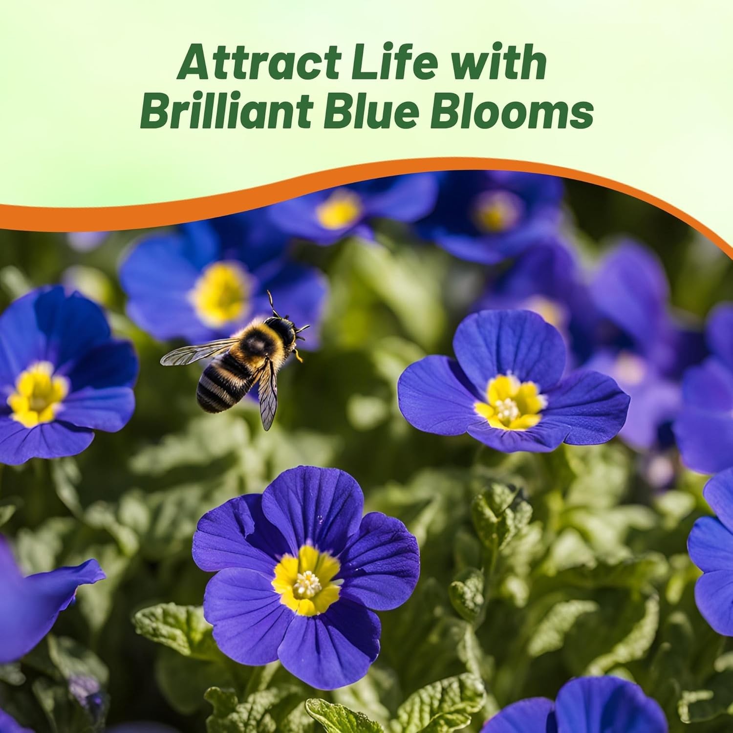 200 Seeds Primrose Seeds – Primula Acaulis Blue Common Primrose Flower Seed