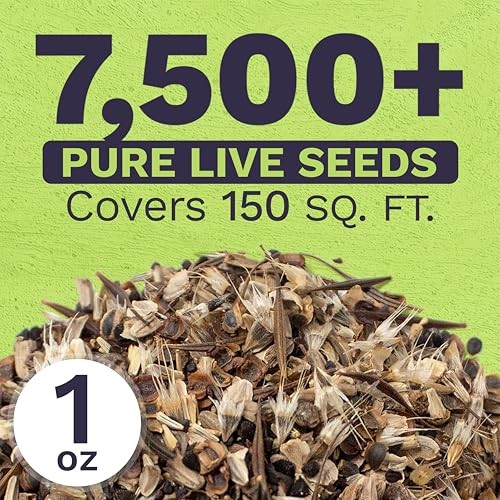 Cut Flower Garden Seeds – Extra Large 1 Ounce Packet – Over 7,500 1 Ounce Pouch