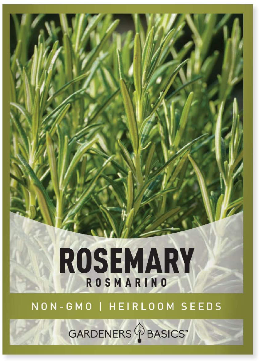Rosemary Seeds for Planting – It Is a Great Heirloom, Non-Gmo Herb Variety- Grea
