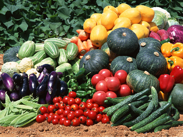 Wholesale Vegetable Garden Seeds $2.59 Each 127 Varieties COMBINED SHIPPING