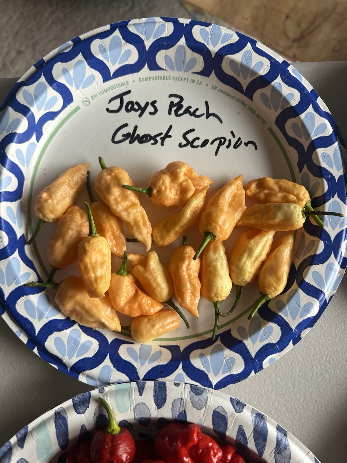 Jay’s Peach Ghost Scorpion Hot Pepper Seeds 15+ Per Pack