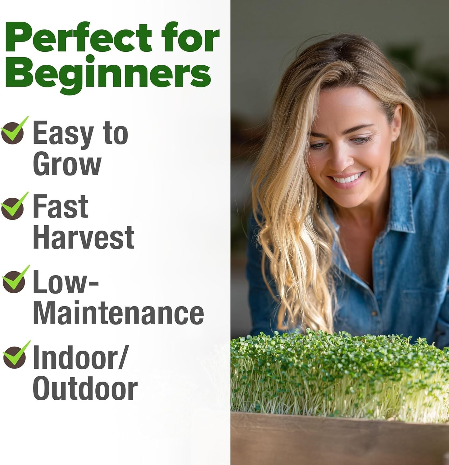 Broccoli Seeds 8 oz Bulk Heirloom Non-GMO, High Germination, Sulforaphane Ric…