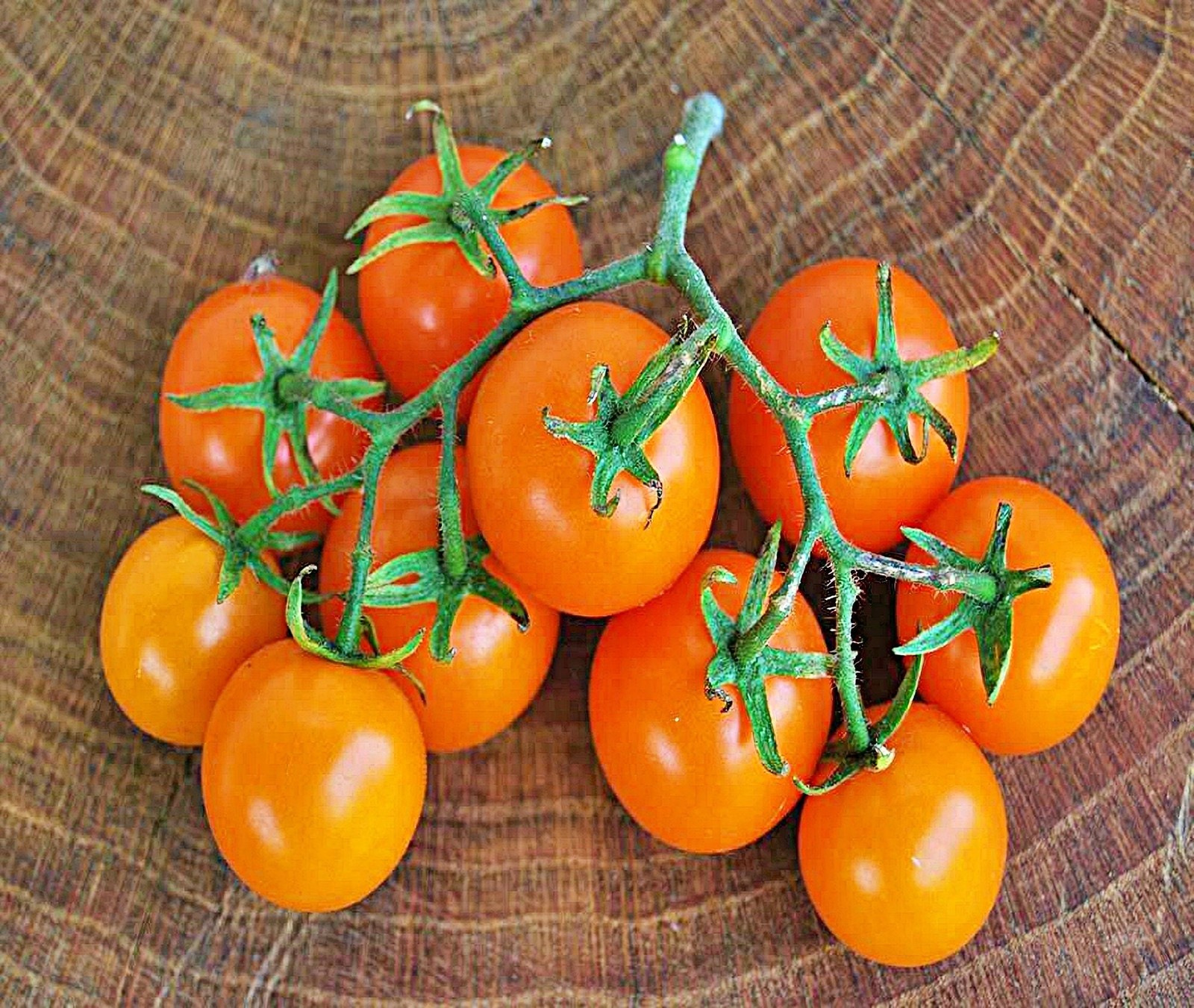 Tomato, Sweet Orange Cherry Heirloom Seeds Non-GMO