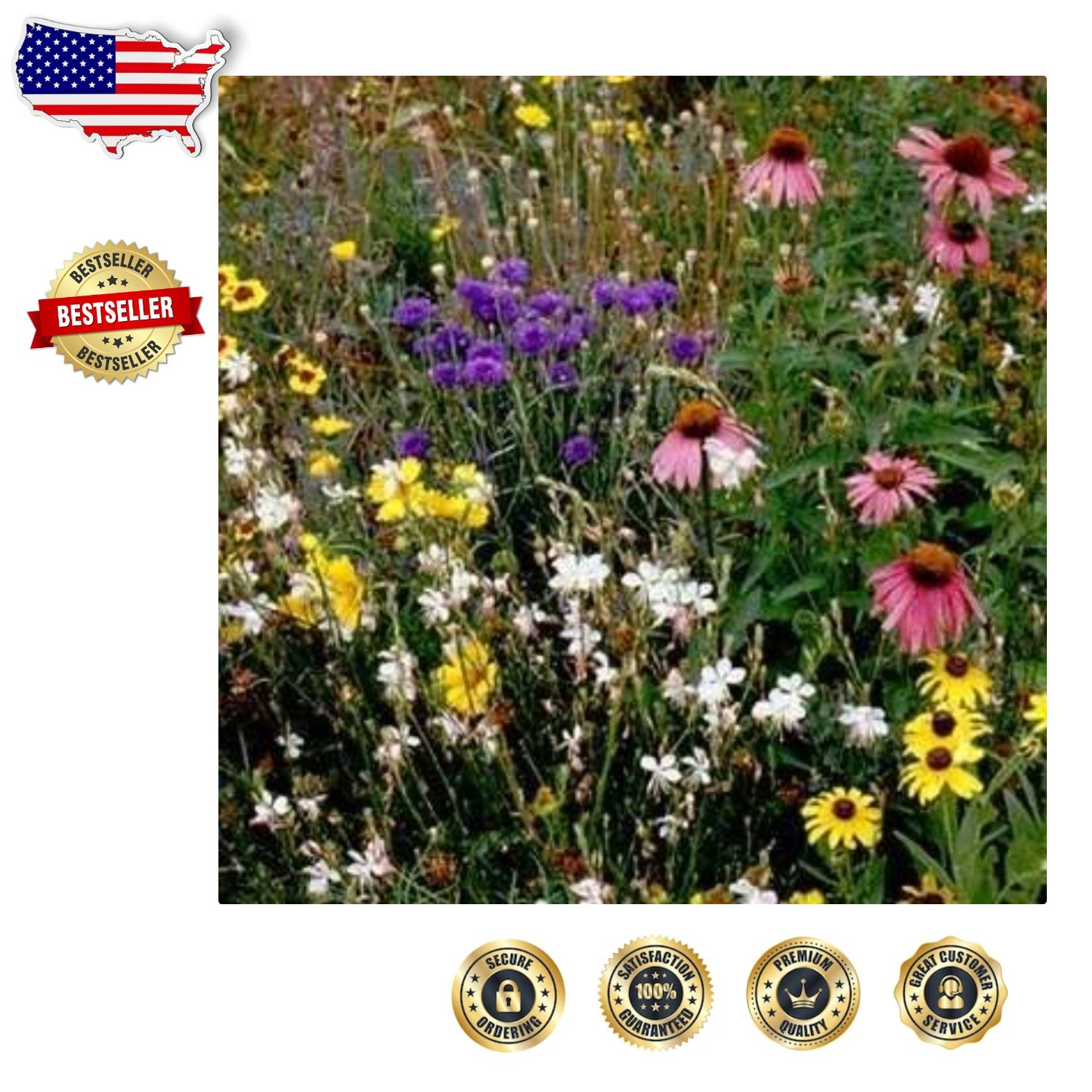 Southeast Wildflower Seed Mix 5 Lbs – Pollinator Friendly, Easy Grow, Vibrant