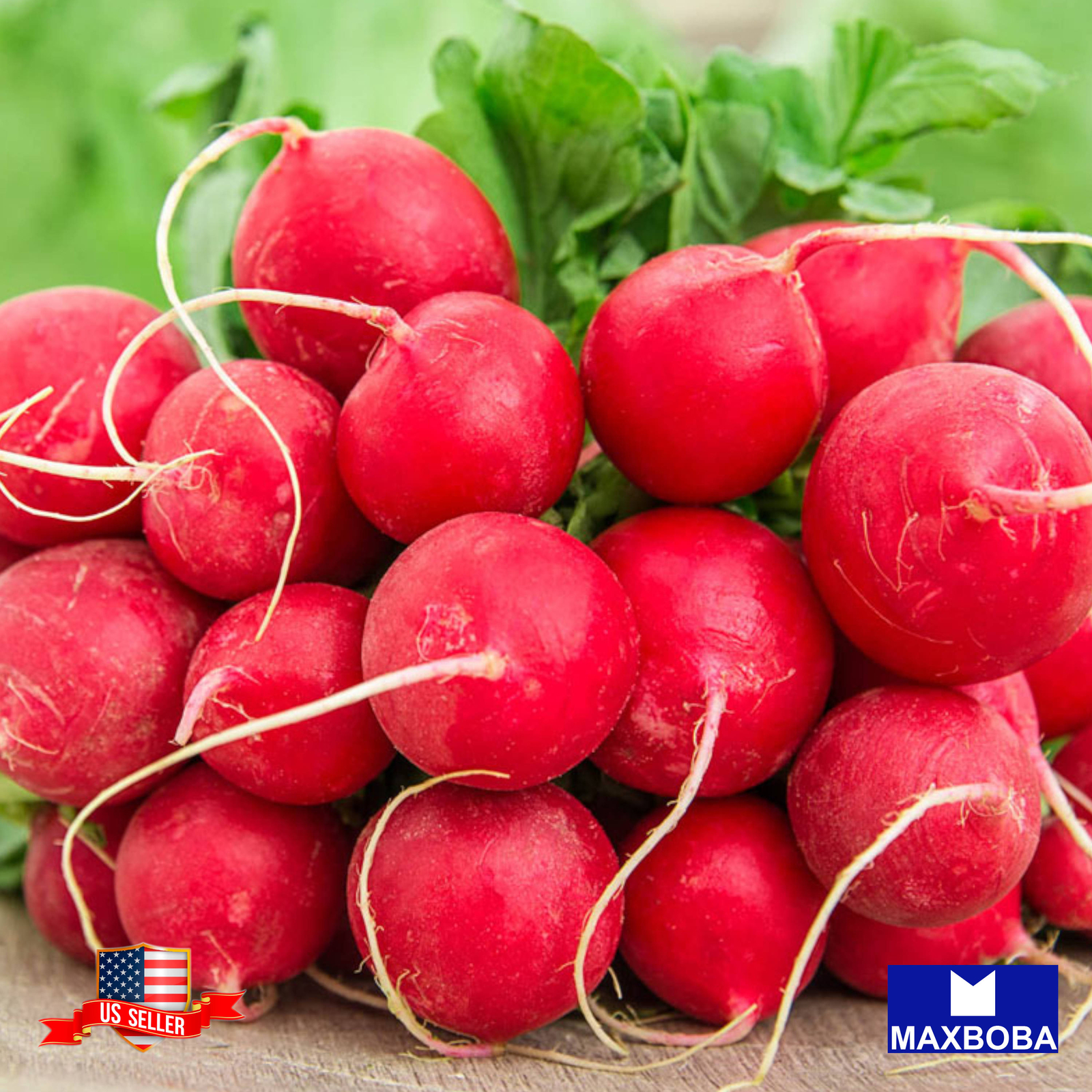 Radish Seeds German Giant Non-GMO Heirloom Vegetable